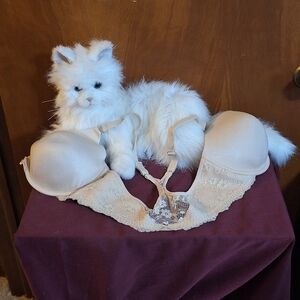 Maidenform Cream Lace Bra